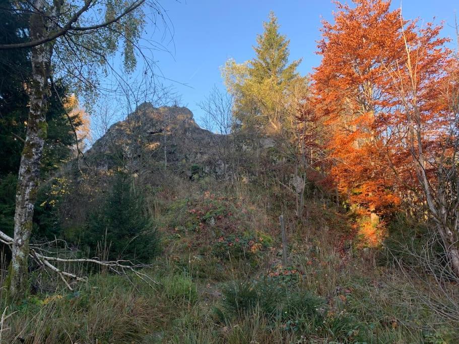 Jermerstein-Haeuschen Braunlage Bagian luar foto